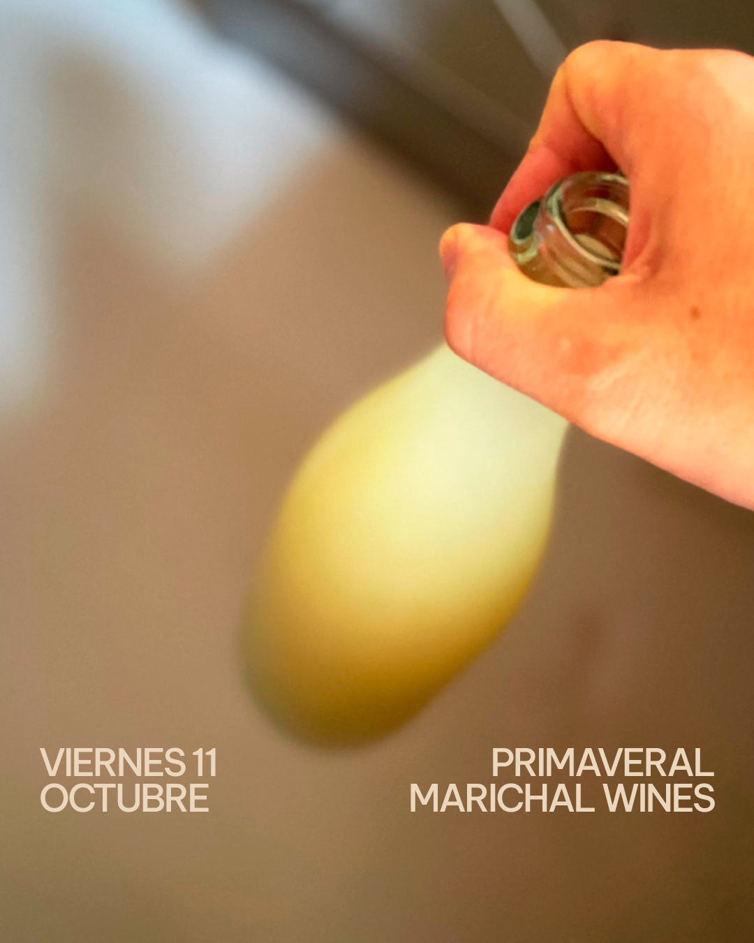 Viernes 11/10/24 - Cooking show