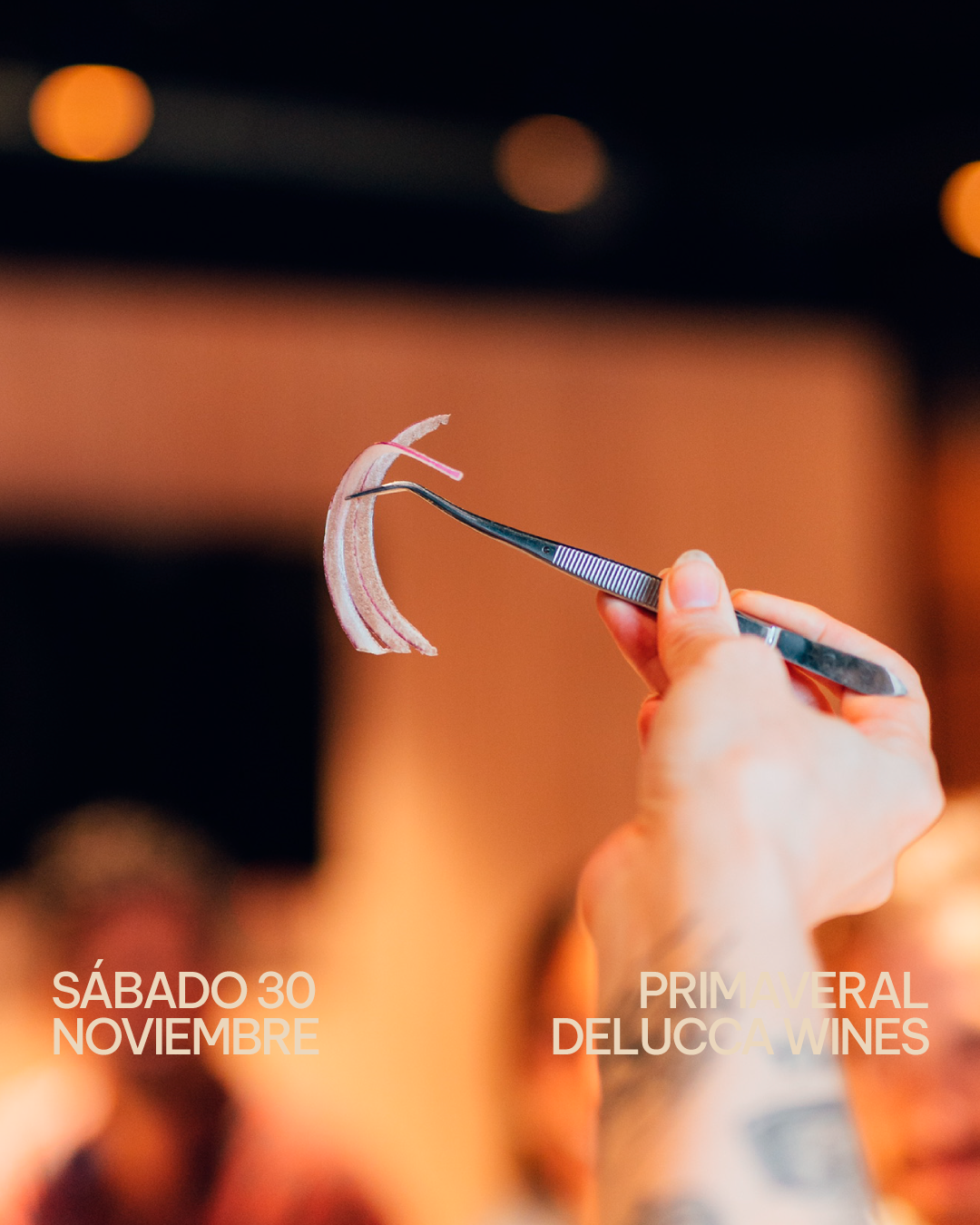 Sábado 30/11/24 - Cooking show