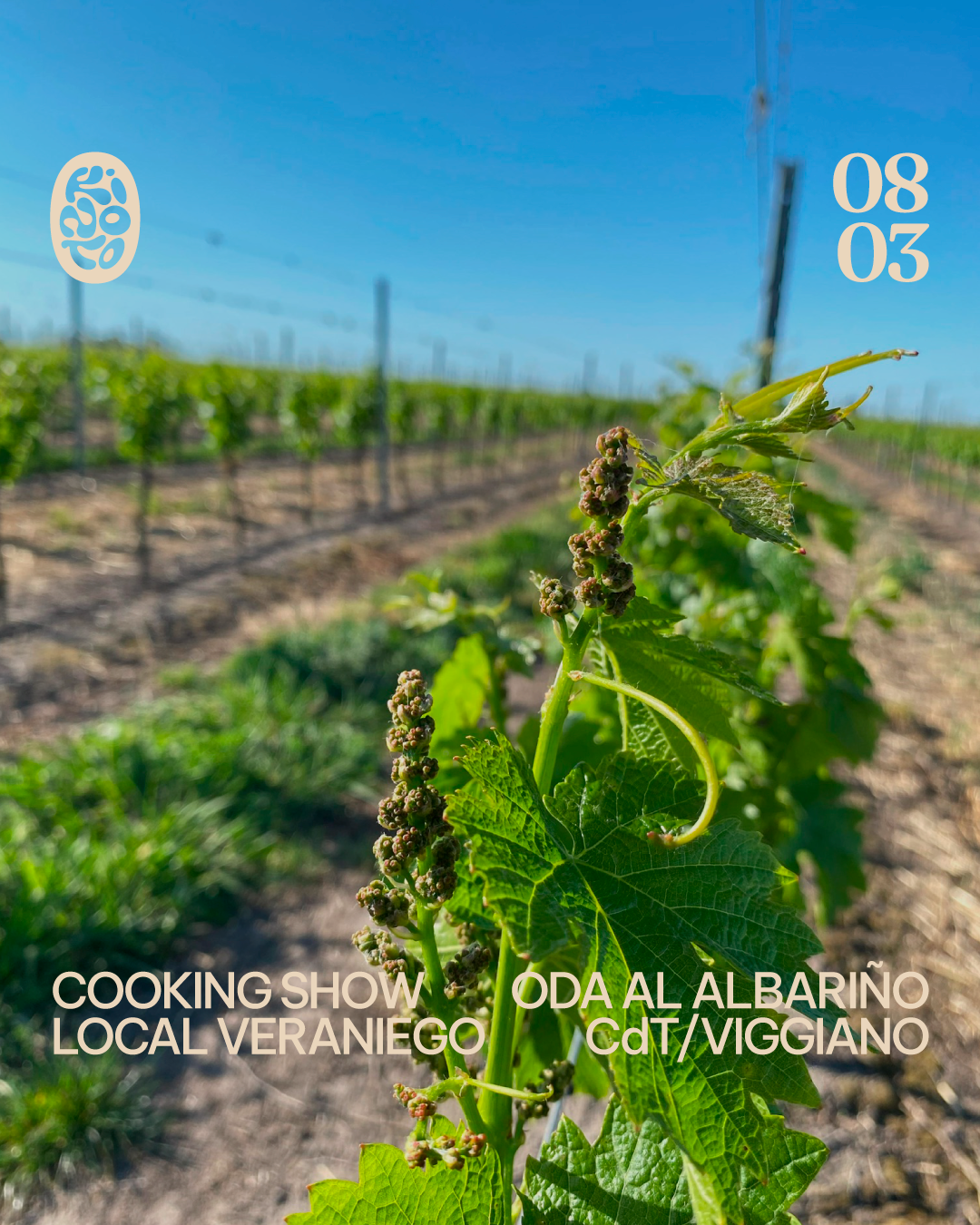 Sábado 08/03 - Cooking show