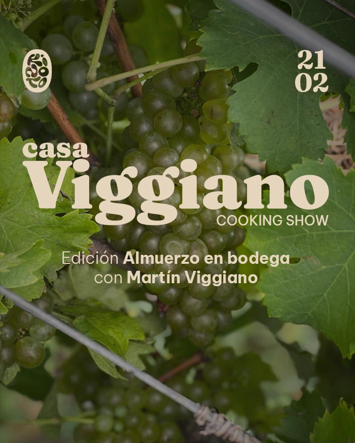 Sábado 21/02/2026 - CASA VIGGIANO: Kinoto fuera de Kinoto